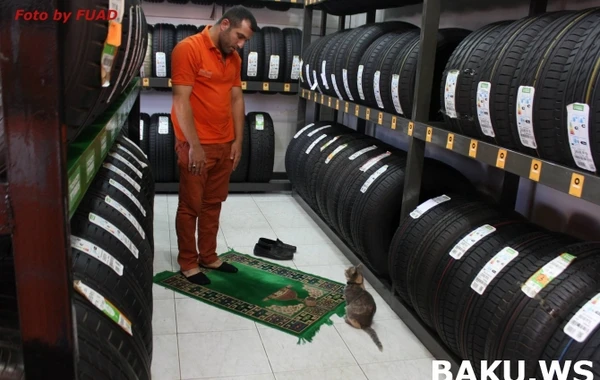 Bakıda maraqlı hadisə: Finlandiyadan gətirilən təkərlərin arasından elə bir şey çıxdı ki... (FOTO)