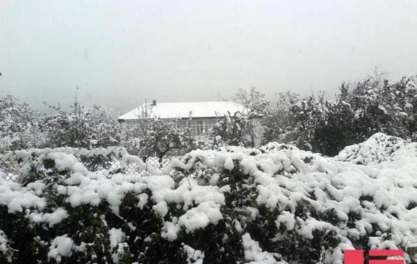 Azərbaycanın cənubuna qar yağdı - FOTO