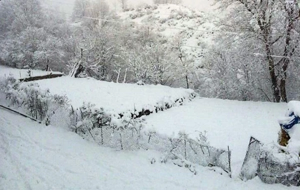 Azərbaycanda son 44 ilin anomal hadisəsi bu il təkrarlandı