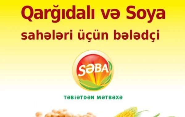 Səba şirkəti qarğıdalı və soya istehsalçılarına bələdçilik edəcək