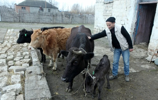 Dövlətdən kasıb ailələri sevindirəcək addım (FOTO)