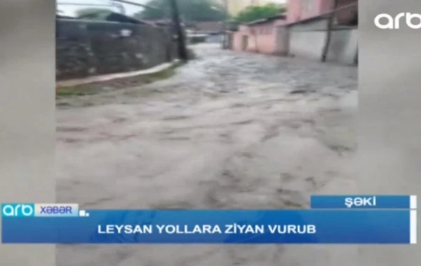 Şəkidə güclü leysan yollara ziyan vurub (VİDEO)