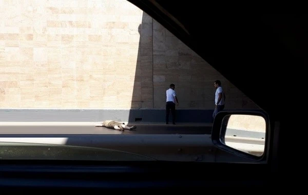 Azərbaycanda qadın özünü körpüdən atdı - FOTO