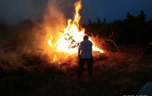 Şəkidə meşədə güclü yanğın baş verib (FOTO)