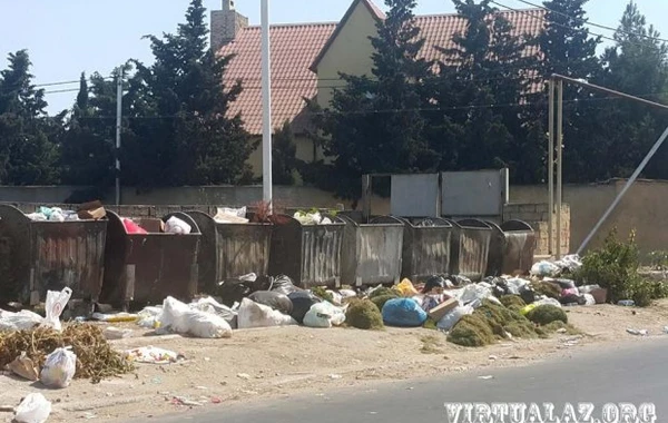 Bakının zibil dərdi - FOTO