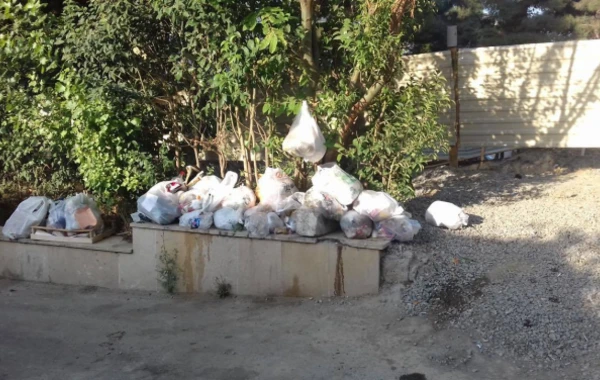 Bakıda zibil vedrələrinə kim qənim kəsilib? (FOTO)