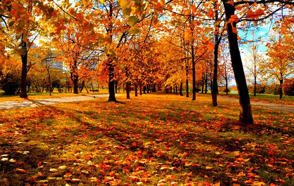 Hazırkı temperatur oktyabr ayı üçün xarakterik deyil