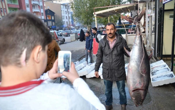 Azərbaycanda tutulan nəhəng balıq Türkiyədə satışa çıxarıldı