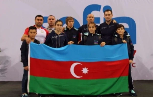 Azərbaycan gimnastı qızıl medal qazanıb