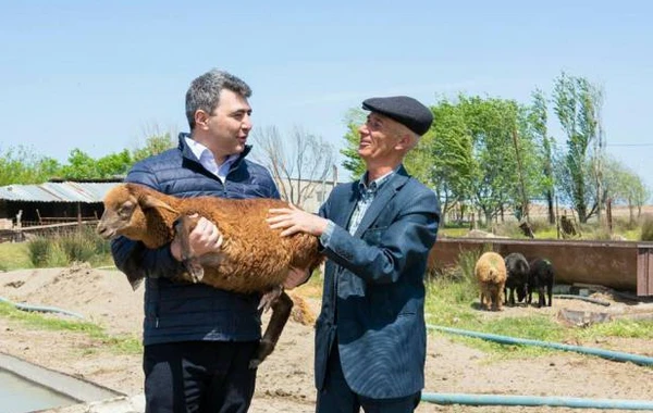 Yeni nazir məşhur fermerin ayağına getdi - FOTO+VİDEO