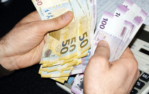 Bakıda tikinti işləri zamanı ağac kəsimi - 2200 manat cərimə