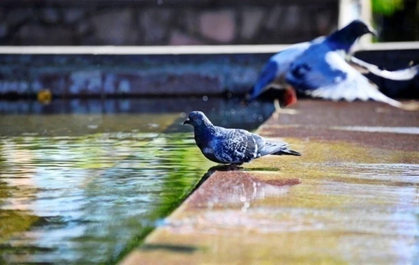 Sabahın hava proqnozu AÇIQLANDI