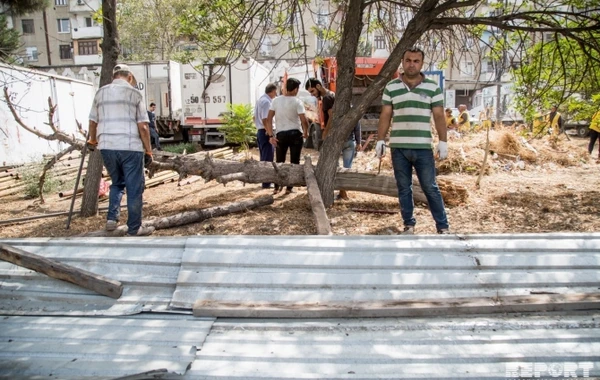 Bakı meriyası 16 torpaq sahəsinin hasarlarını sökdü