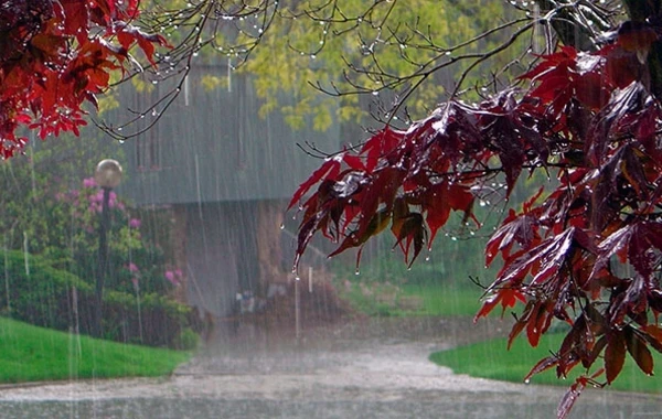 XƏBƏRDARLIQ - Havanın temperaturu aşağı düşəcək, yağış, qar…