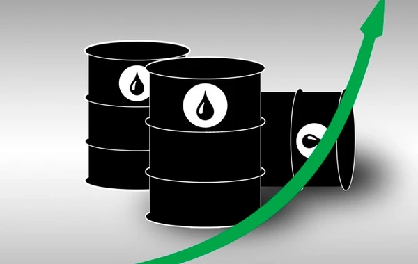 OPEC Azərbaycanda neft hasilatı üzrə proqnozunu açıqlayıb