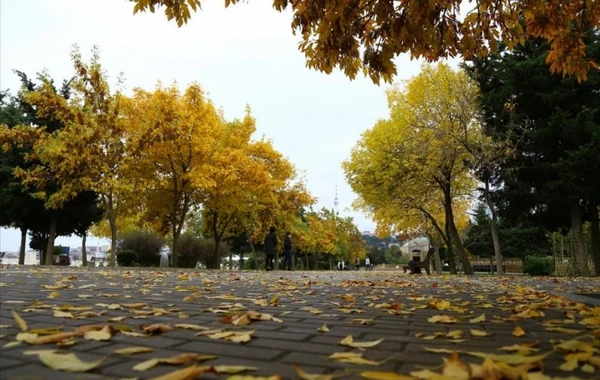 Sabaha olan hava proqnozu açıqlandı