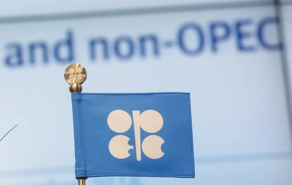 OPEC noyabrda neft hasilatını sutkada 11 min barel azaldıb