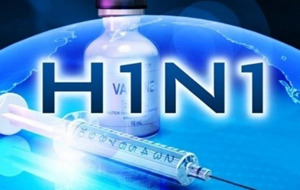 ÜST: Gürcüstanda “donuz qripi” adlı virus yoxdur