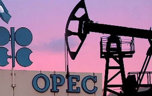 OPEC 2019-cu ildə neftə dünya tələbi proqnozunu aşağı salıb