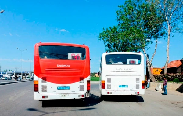 Bakıda avtobus sürücüsü həbs edildi - SƏBƏB