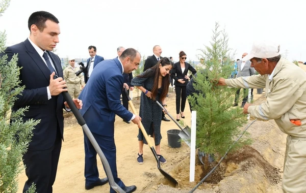 Prezident və birinci xanım ağacəkmə aksiyasında iştirak edib - FOTO