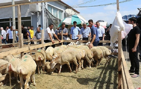 Qurban bayramında heyvan kəsimi üçün ayrılan yerlərin siyahısı açıqlanıb – SİYAHI