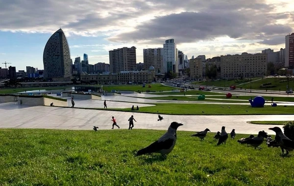 Sabahın hava proqnozu açıqlanıb