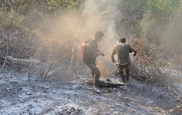 Ağstafada baş verən yanğının meşə zolağına keçməsinin qarşısı alınıb