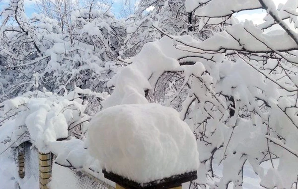 Sabah qar yağacaq, şaxta olacaq