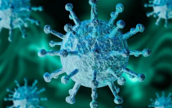 İndi də MERS epidemiyası yayılır? -1 nəfərdə tapıldı