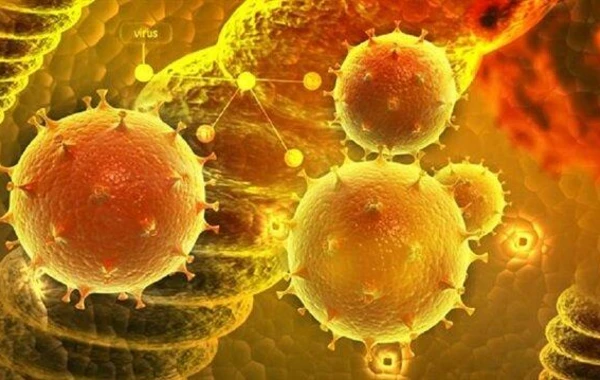 Koronavirus bitməmiş insanları daha bir virus təhdid edir