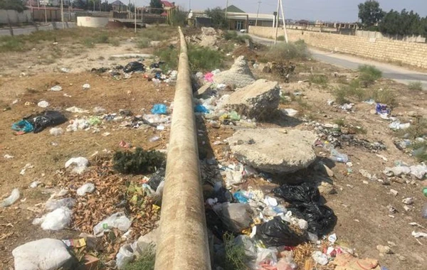 Bakıda sanitariya-gigiyena qaydalarını pozan şəxs cərimələnib