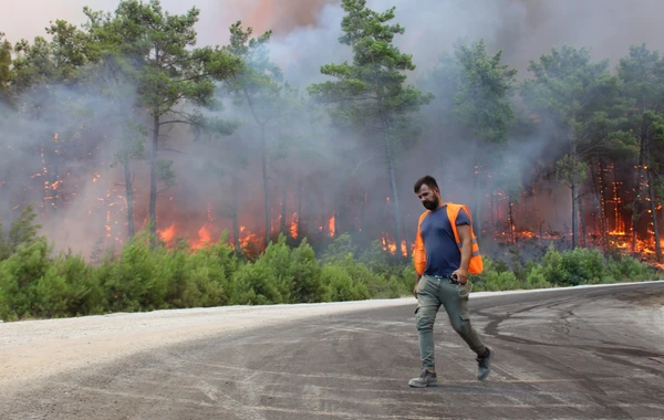 Türkiyədə meşə yanğınları ilə bağlı son durum - FOTO