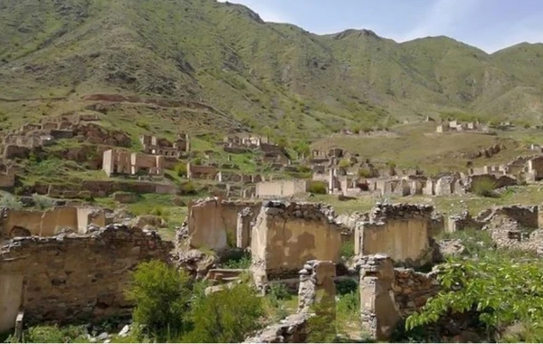 “Göyçə-Zəngəzur Respublikası” fəaliyyətini dayandırdığını bəyan etdi - FOTO