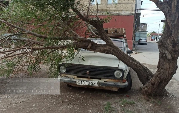 Güclü külək Sumqayıtda bir sıra fəsadlar törədib - FOTO