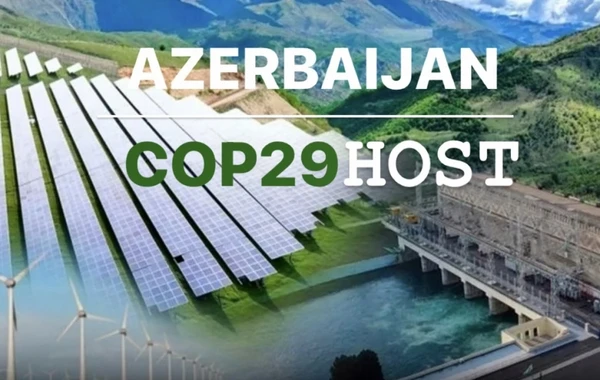 COP29 Azərbaycanın iqtisadi imkanlarını daha yaxından təqdim etməyə şərait yaradacaq - AÇIQLAMA