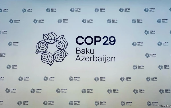 COP29 Məlumat mərkəzləri fəaliyyətə başlayıb