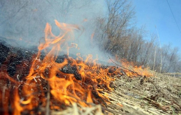 Hidrometeorologiya Xidməti isti günlərdə yanğına həssas bölgələri açıqlayıb