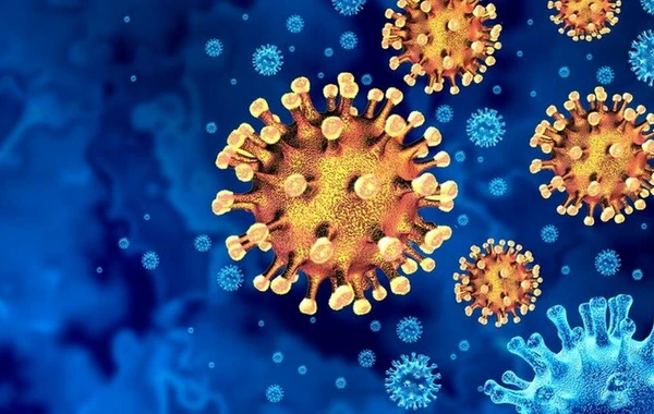 İnsan üçün ciddi risk sayılan 36 virus tapıldı - Çindən daha bir pandemiya gəlir?