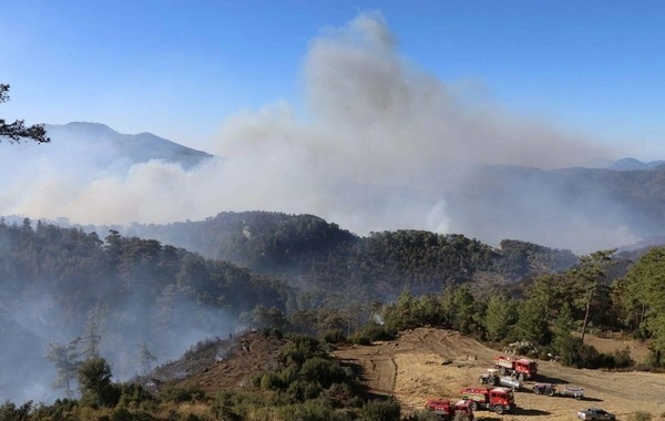 Türkiyənin iki bölgəsində meşə yanır, Silahlı Qüvvələrin helikopterləri cəlb edildi