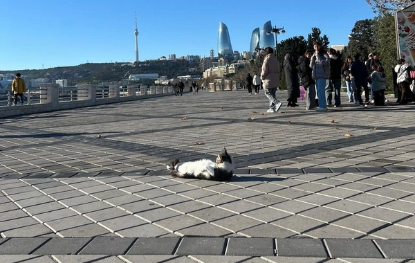 Yeni ilin ilk günündə Bakı gəzintisindən fotolar paylaşdı