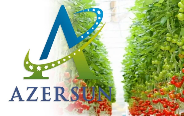 Сотрудники компании при Azersun Holding отравились?