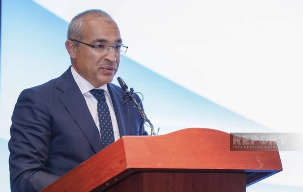 Nazir: "Azərbaycan "yaşıl iqtisadiyyat" yolunda irəlilədikcə BƏƏ ilə əlaqələr daha da inkişaf edəcək"