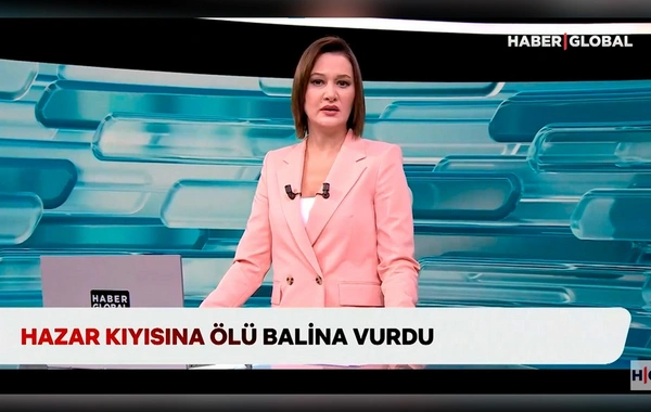 "Haber Global" COP29-da: Türkiyə iqlim gündəmini müəyyən edir və fəaliyyətə çağırır