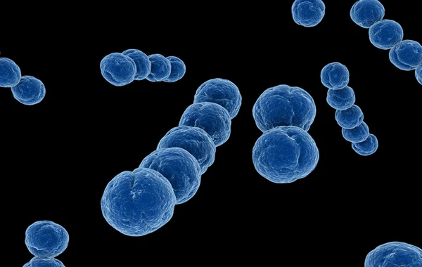 Honq-Konqda streptokok infeksiyası yayılıb, ölənlər var