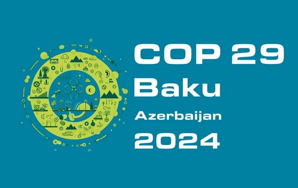 Эксперт: Жду от COP29 прогресса по новым целям климатического финансирования