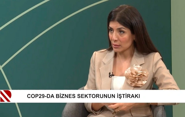 Nigar Arpadarai: COP29 Azərbaycanı kiçik ölkədən daha böyük müzakirələrin iştirakçısına çevirəcək