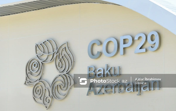 COP29 ekoloji fəlakət yaşayan müstəmləkələrin hüquqlarının müdafiəçisi rolunda çıxış edə bilər