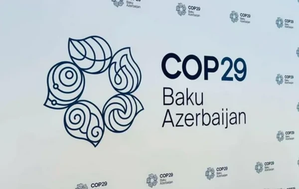 Азербайджан подготовит отчет о прозрачности до COP29