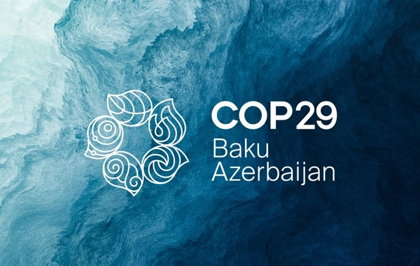 UNEP rəhbəri: Bakıda COP29-da bizim quracağımız təməl qoyulub